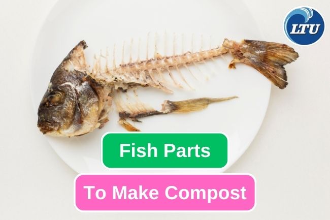 Here Are 4 Fish Parts To Make Great Compost